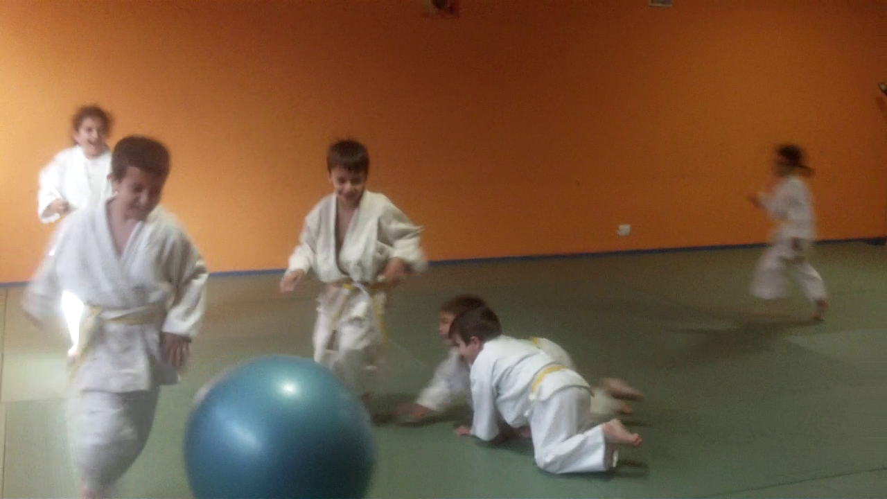 EL JUDO COMO ESTRATEGIA TERAPÉUTICA EN EL DESARROLLO DE LAS RELACIONES SOCIALES DE LOS NIÑOS Y ADOLESCENTES